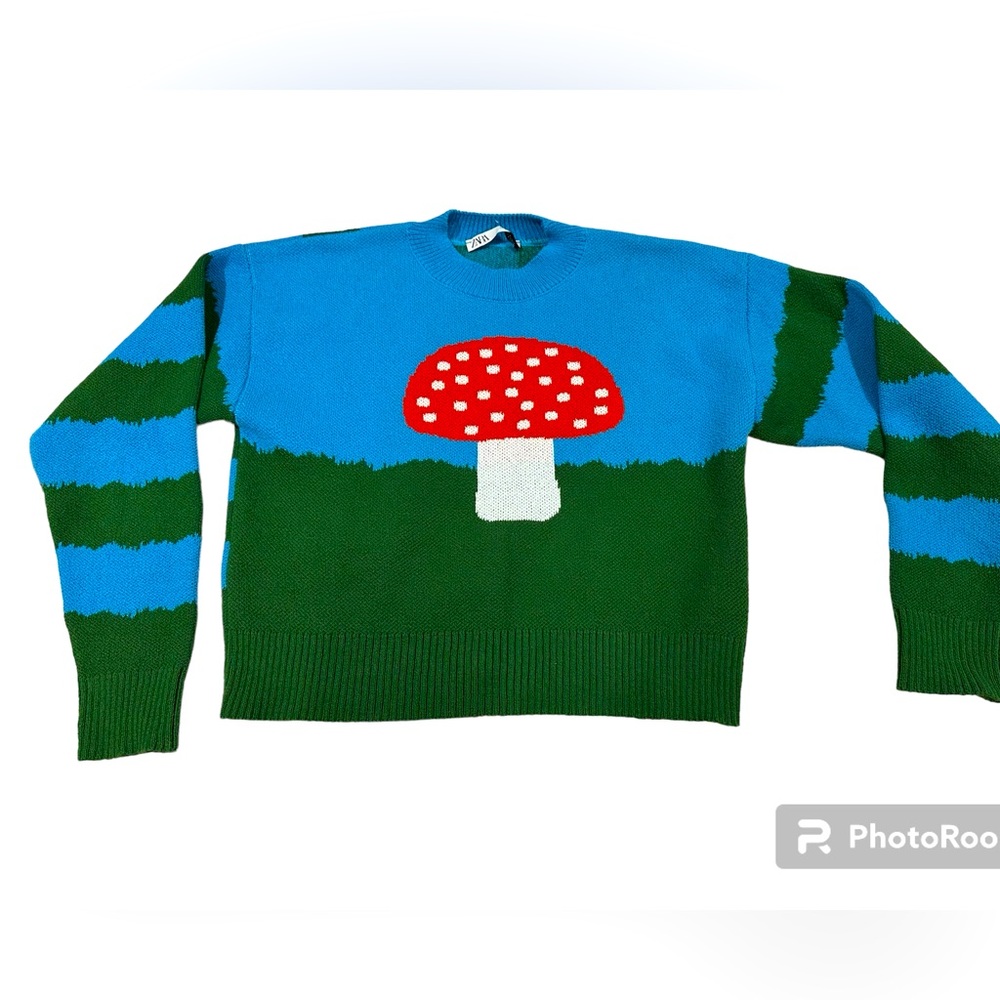 Zara mushroom sweater